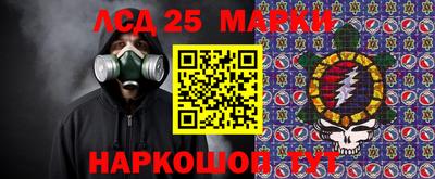 гидра Будённовск