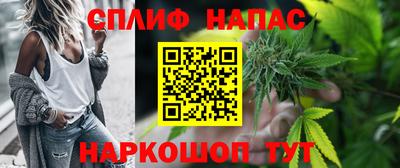 гидра Будённовск