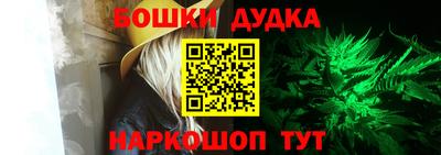 гидра Будённовск