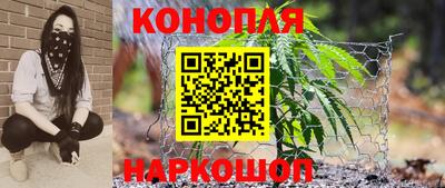 гидра Будённовск