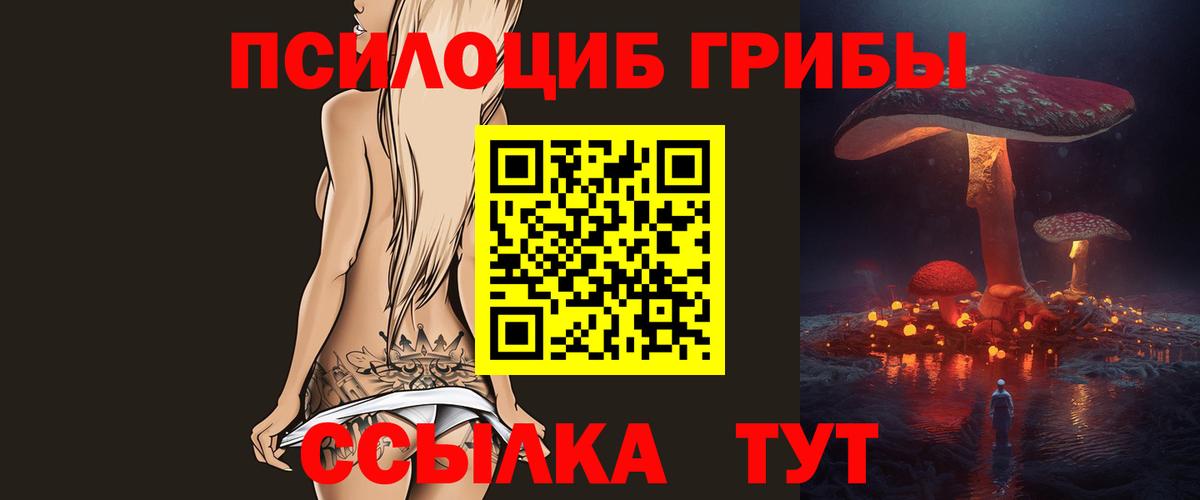 Псилоцибиновые грибы Psilocybe Курск